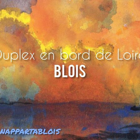 Duplex 60 M2 Bord De Loire Lejlighed Blois Eksteriør billede