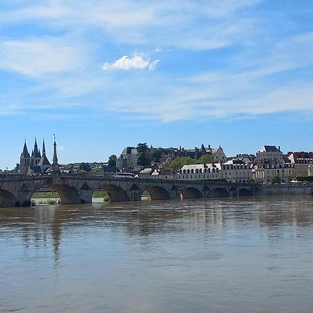 Duplex 60 M2 Bord De Loire Lejlighed Blois Eksteriør billede