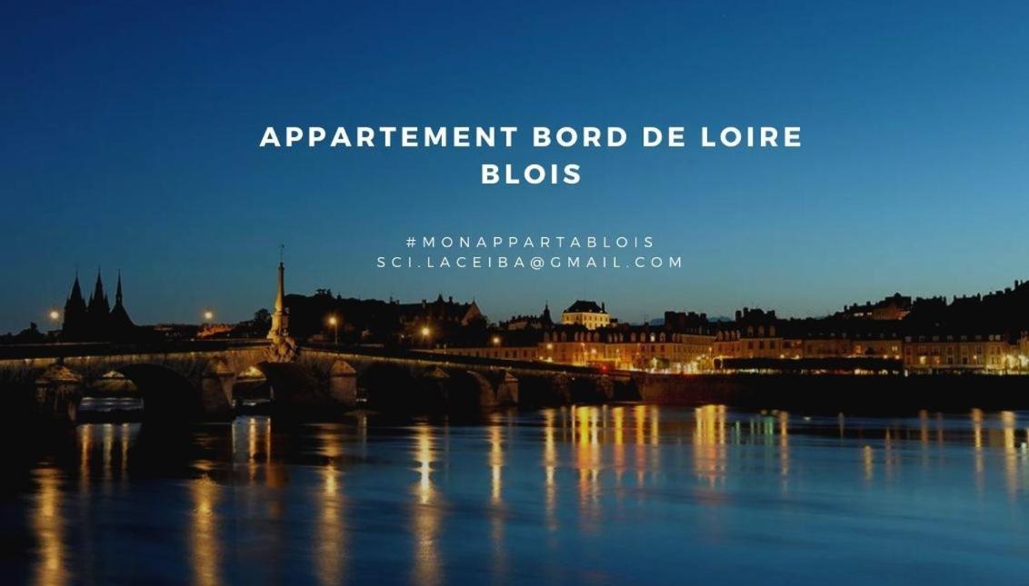 Duplex 60 M2 Bord De Loire Lejlighed Blois Eksteriør billede
