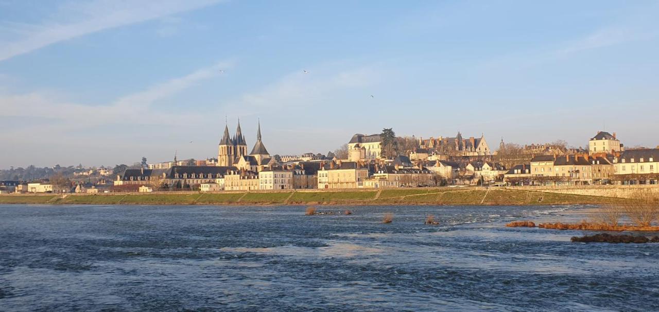 Duplex 60 M2 Bord De Loire Lejlighed Blois Eksteriør billede