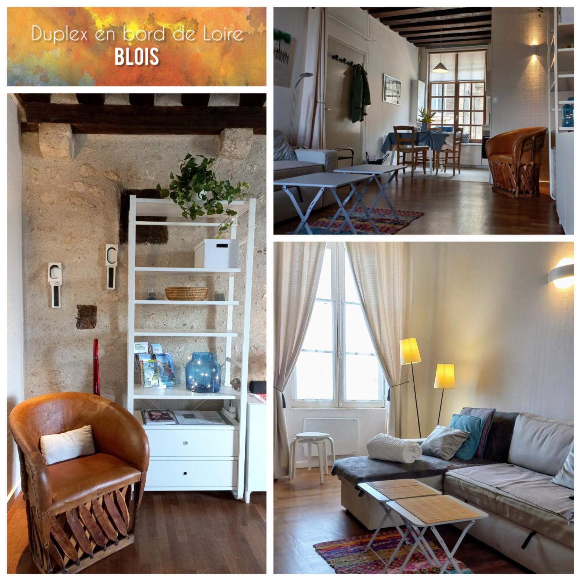 Duplex 60 M2 Bord De Loire Lejlighed Blois Eksteriør billede